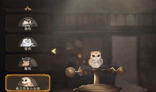 哈利波特魔法觉醒宠物怎么获取 宠物获取方法
