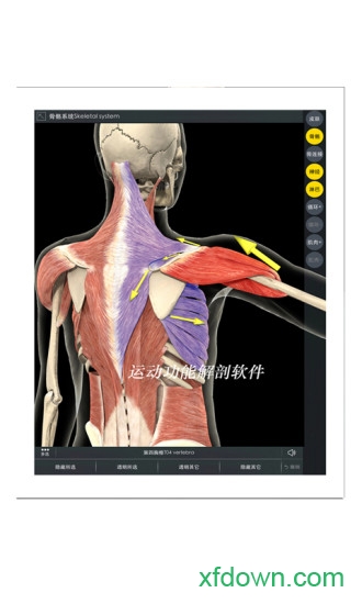 3d body解剖安卓中文版