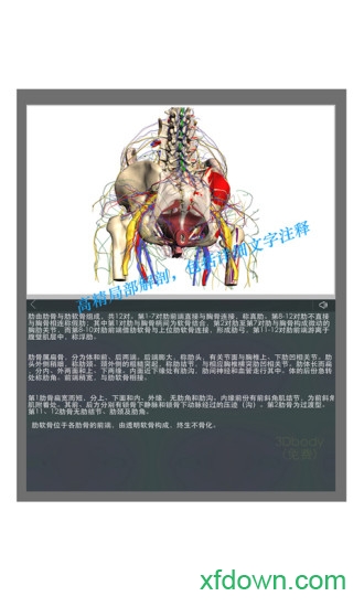 3d body解剖安卓中文版
