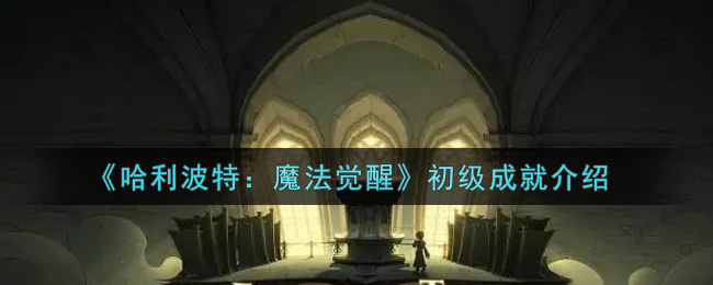 哈利波特魔法觉醒初级成就怎么达成 初级成就达成攻略